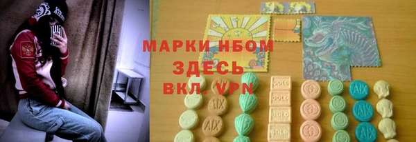 соль ск Алексин