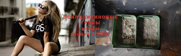 a pvp Алзамай