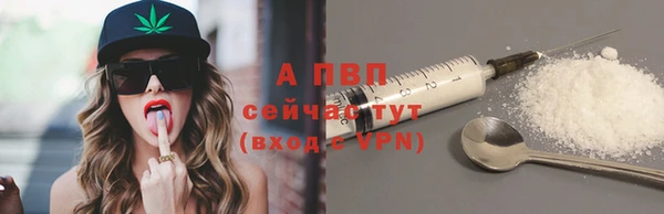 индика Арсеньев