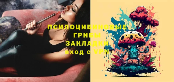 a pvp Алзамай