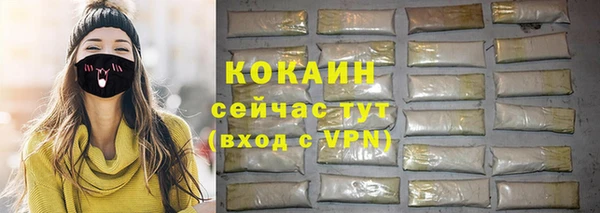 соль ск Алексин