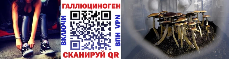 Галлюциногенные грибы мицелий  ОМГ ОМГ ссылки  Усмань 